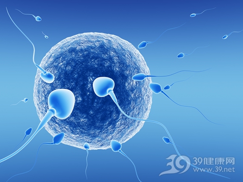 精子 精虫 生殖 立体 3D_34073441_xxl 从男人外表可看出精子质量？ 鹿血片