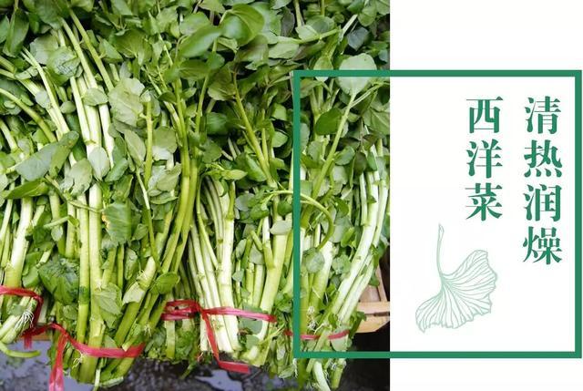 新年养生，吃1白补肾，吃2红护肝补血，吃3绿养心！助你吃出好身体 鹿血片 第5张