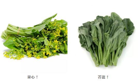 新年养生，吃1白补肾，吃2红护肝补血，吃3绿养心！助你吃出好身体 鹿血片 第7张