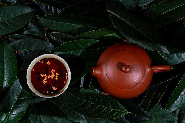 宝藏桂花呀！缓解胃疼口臭、补肾化痰，还能做成《红楼梦》同款美发油 鹿血片 第2张