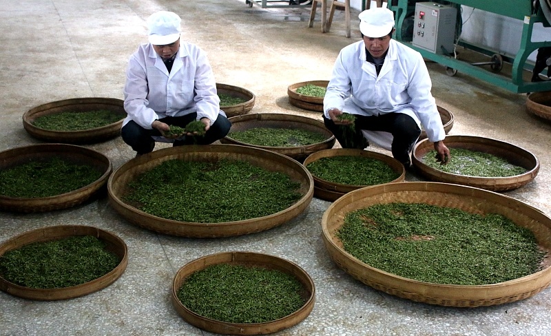 秋天的饮食调理你了解吗 鹿血片 第1张
