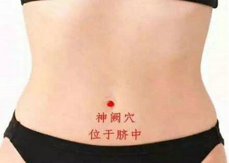 养好我们的先天之本，方可健康一生 鹿血片 第5张