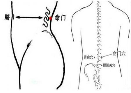 养好我们的先天之本，方可健康一生 鹿血片 第6张