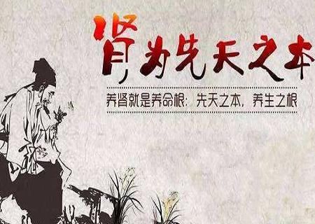 养好我们的先天之本，方可健康一生 鹿血片 第8张
