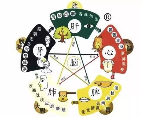 如何养护肝脾肾？简单的艾灸调养方法记得收藏 鹿血片 第1张