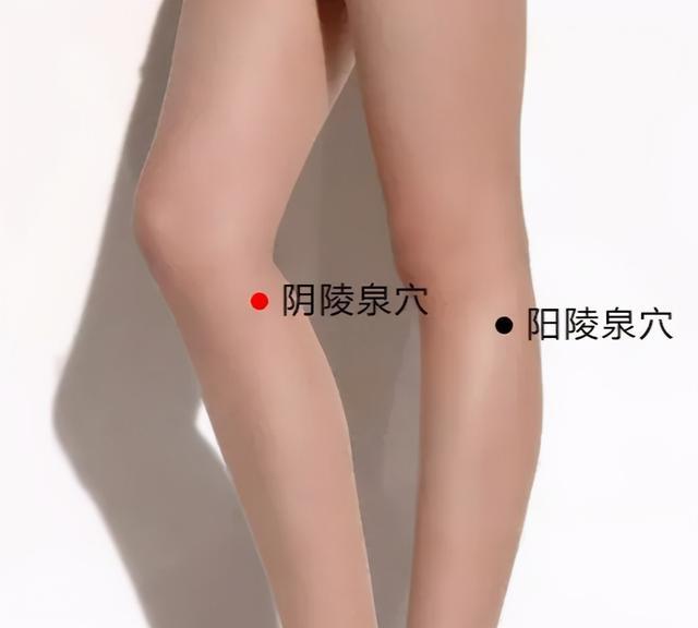 如何养护肝脾肾？简单的艾灸调养方法记得收藏 鹿血片 第8张