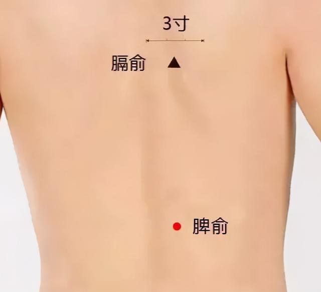如何养护肝脾肾？简单的艾灸调养方法记得收藏 鹿血片 第6张