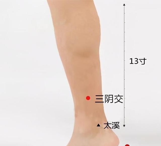 如何养护肝脾肾？简单的艾灸调养方法记得收藏 鹿血片 第7张