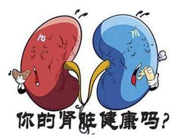 喝水能造成肾的负担吗？保证一辈子不“毒”，养肾食品排行榜帮你忙 鹿血片 第1张
