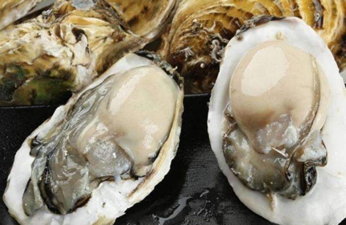 喝水能造成肾的负担吗？保证一辈子不“毒”，养肾食品排行榜帮你忙 鹿血片 第3张