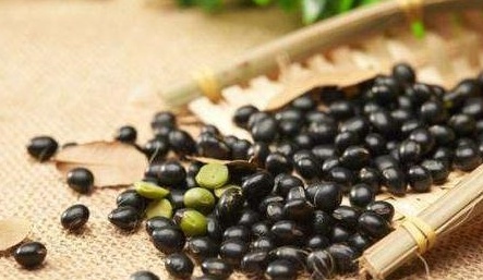 若早上吃一点黑豆，或许不出一月，3个好处可能“悄悄降临” 鹿血片 第2张