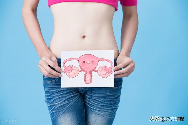 养生专家告诉你：女生应该从四个方面调养身体，快来学习一下吧 鹿血片 第4张