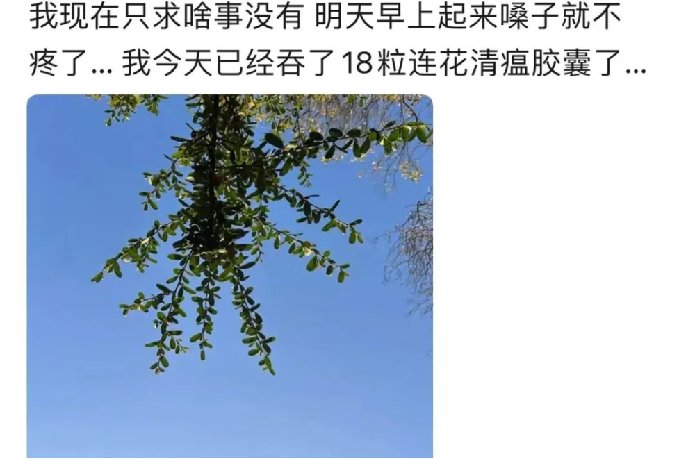 XBB登陆杭州上海：二次感染症状有多重？这3位亲历者说出了自己的感受… 鹿血片 第5张