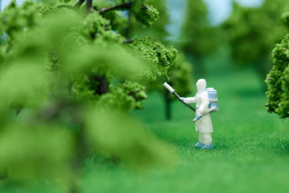 XBB登陆杭州上海：二次感染症状有多重？这3位亲历者说出了自己的感受… 鹿血片 第4张
