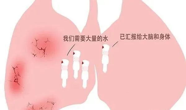 新冠病毒“侵犯”你的双肺时，会出现3个征兆，尽快就医才好 鹿血片 第1张