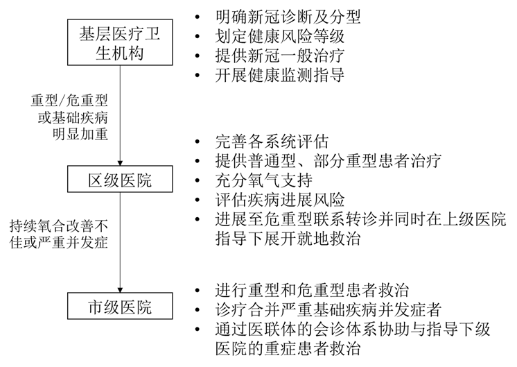 超全整理！10 份顶级医院新冠方案＋卫健委第十版更新：有何异同？ 鹿血片 第12张
