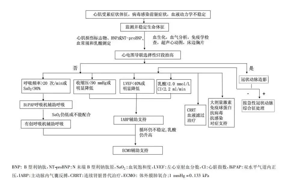 超全整理！10 份顶级医院新冠方案＋卫健委第十版更新：有何异同？ 鹿血片 第19张