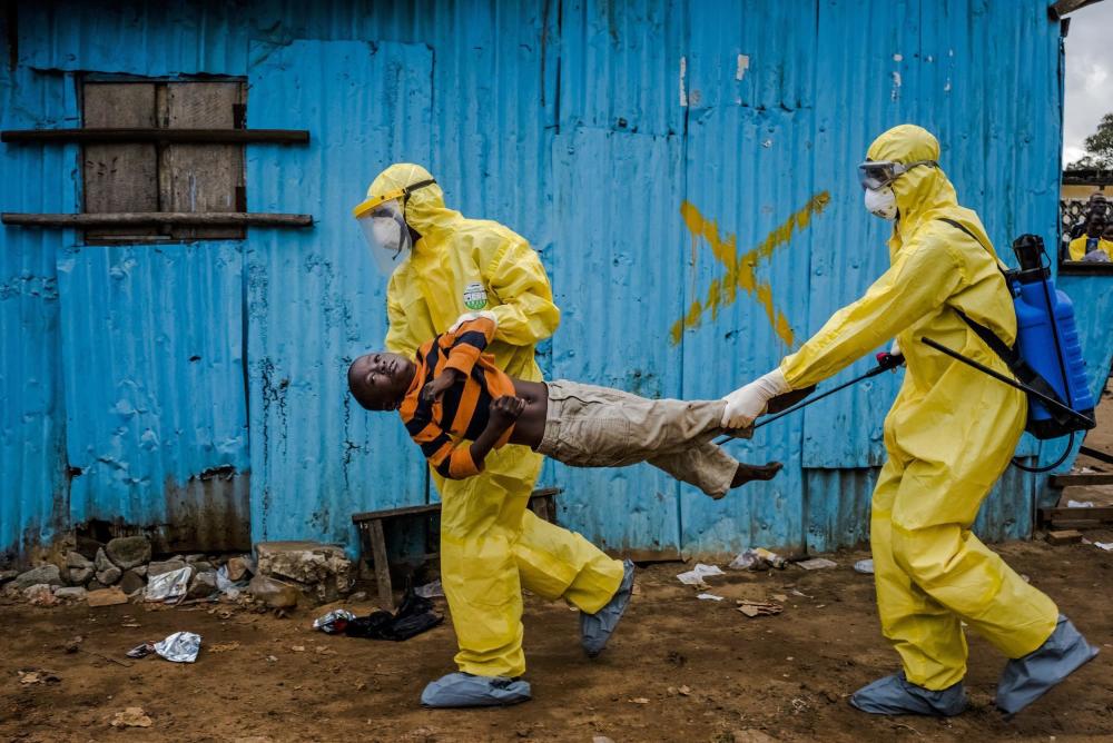 美国要向亚太转移病毒？乌克兰生物实验被曝光，华盛顿盯上新目标 鹿血片 第3张