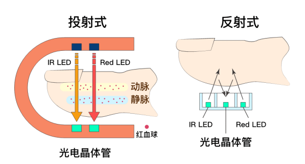 “血氧仪”成过年热选礼物，真正需要它的只有5类人 鹿血片 第2张